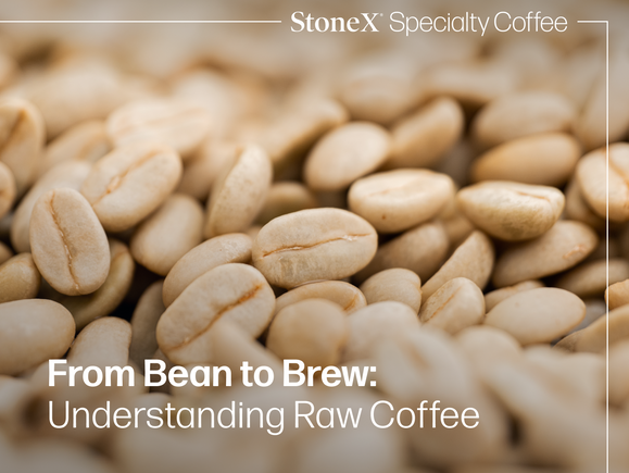 From Bean to Brew: Understanding Raw Coffee