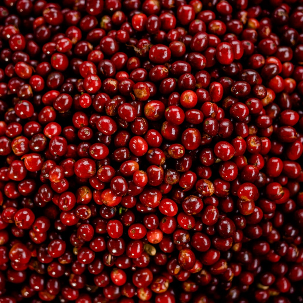 Colombian Decaf Excelso EA Process Green Coffee Beans from Mercon Specialty